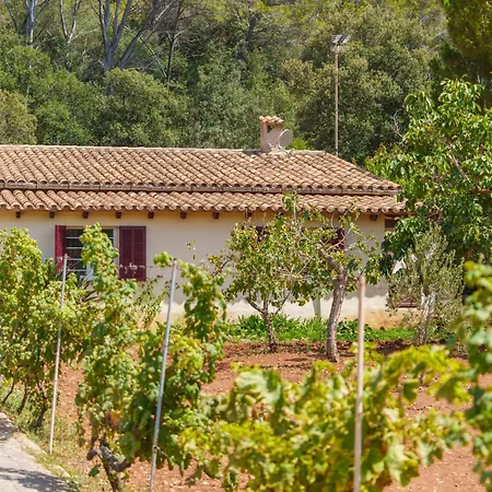 Holiday home Ullastro By Interhome Pollenca